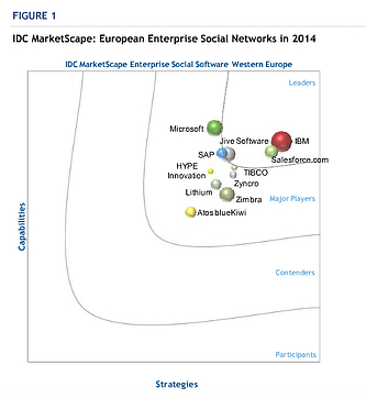 IDC Marketscape 2013 Report